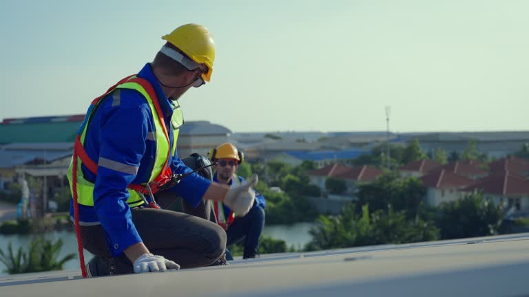 Best Roof Moss and Algae Removal  in Maple Grove, MN