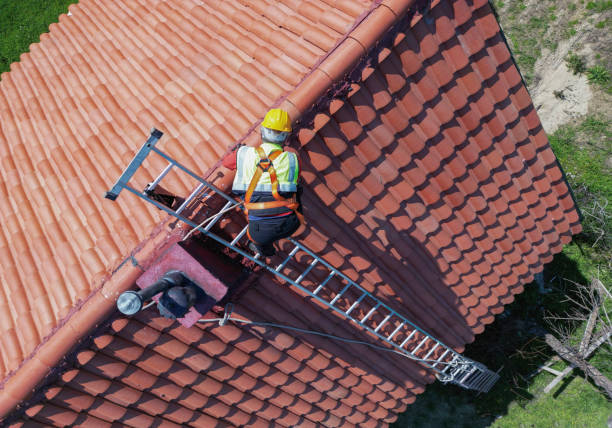 Best Storm Damage Roof Repair  in Maple Grove, MN